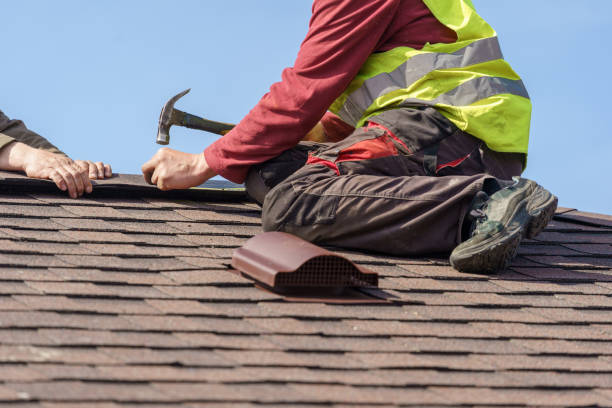 Best Roof Gutter Cleaning  in Victory Gardens, NJ
