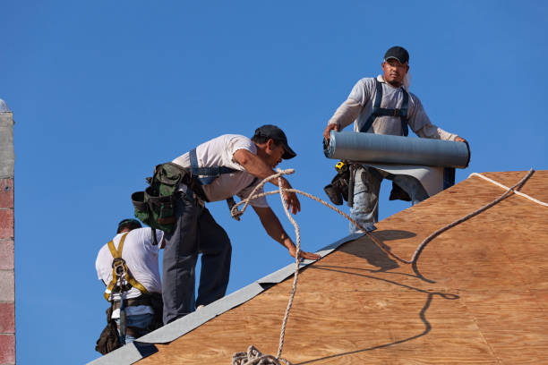 Best Local Roofing Companies  in Victory Gardens, NJ