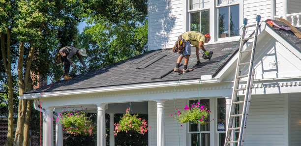 Best Roof Maintenance Services  in Victory Gardens, NJ